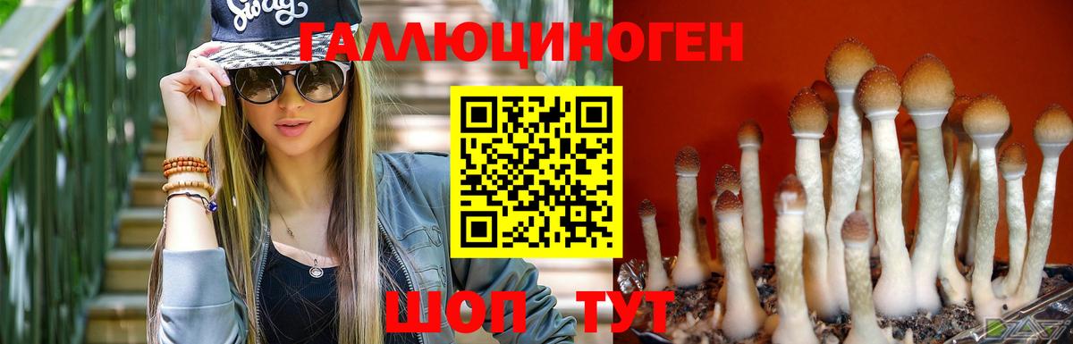 наркошоп  Галлюциногенные грибы мухоморы  Вход с VPN  Осинники  Псилоцибиновые грибы Cubensis 